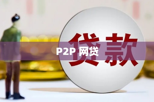 剑阁P2P 网贷