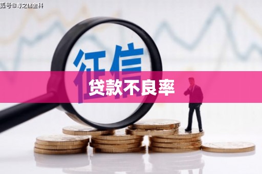 剑阁贷款不良率
