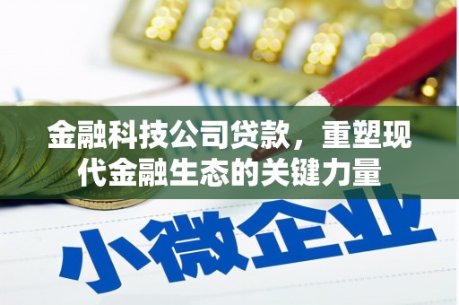 剑阁金融科技公司贷款，重塑现代金融生态的关键力量