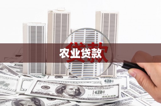 剑阁农业贷款