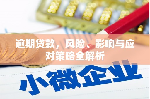 剑阁逾期贷款，风险、影响与应对策略全解析