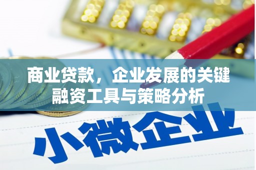剑阁商业贷款，企业发展的关键融资工具与策略分析