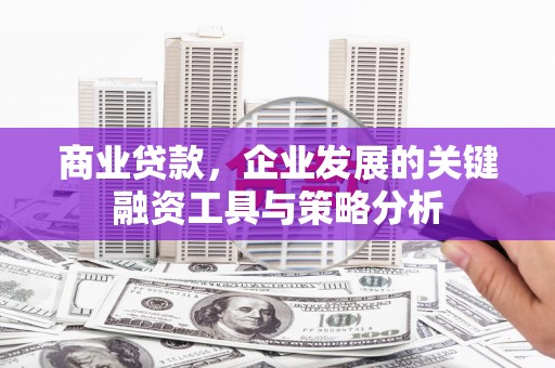 剑阁商业贷款，企业发展的关键融资工具与策略分析