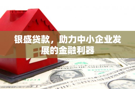 剑阁银盛贷款，助力中小企业发展的金融利器