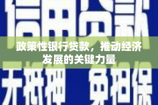 剑阁政策性银行贷款，推动经济发展的关键力量