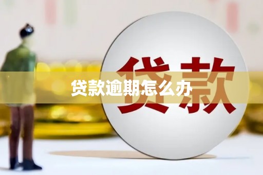 剑阁贷款逾期怎么办