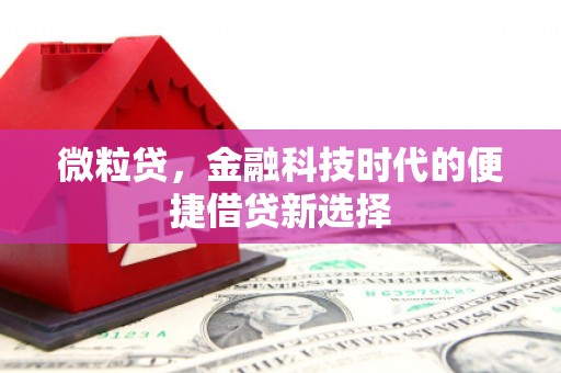 剑阁微粒贷，金融科技时代的便捷借贷新选择