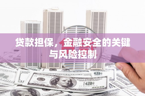 剑阁贷款担保，金融安全的关键与风险控制