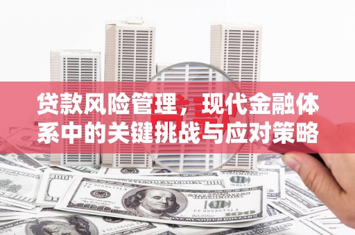 剑阁贷款风险管理，现代金融体系中的关键挑战与应对策略