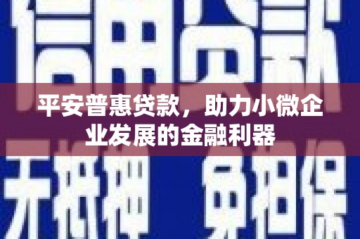 剑阁平安普惠贷款，助力小微企业发展的金融利器