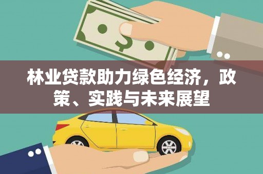 剑阁林业贷款助力绿色经济，政策、实践与未来展望