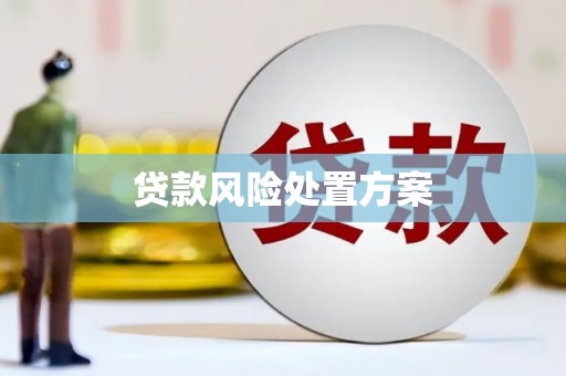 剑阁贷款风险处置方案