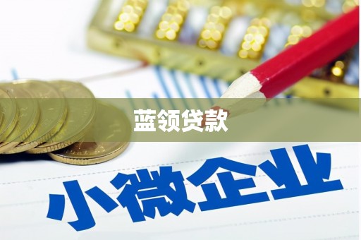 剑阁蓝领贷款