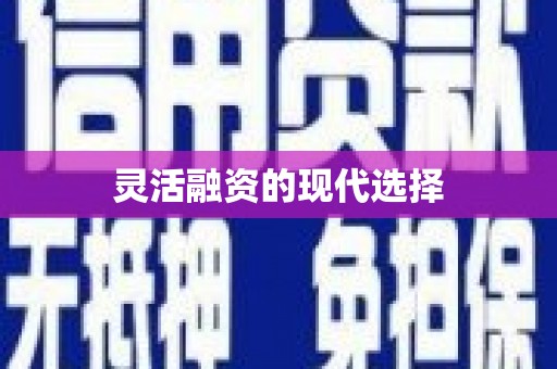剑阁灵活融资的现代选择