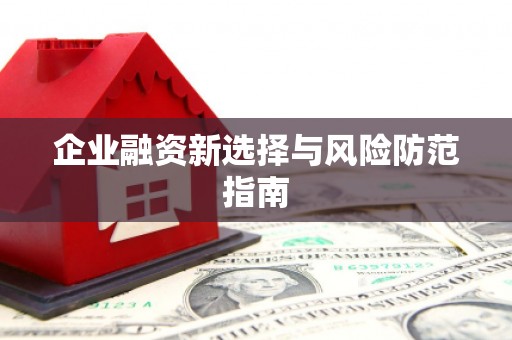 剑阁企业融资新选择与风险防范指南