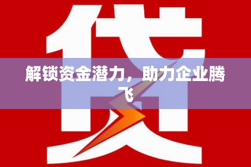 剑阁解锁资金潜力，助力企业腾飞