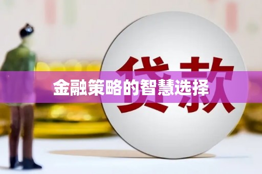 剑阁金融策略的智慧选择
