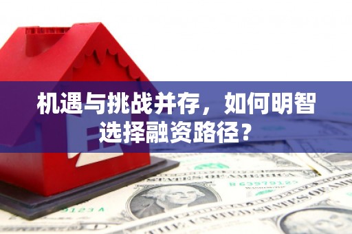 剑阁机遇与挑战并存，如何明智选择融资路径？