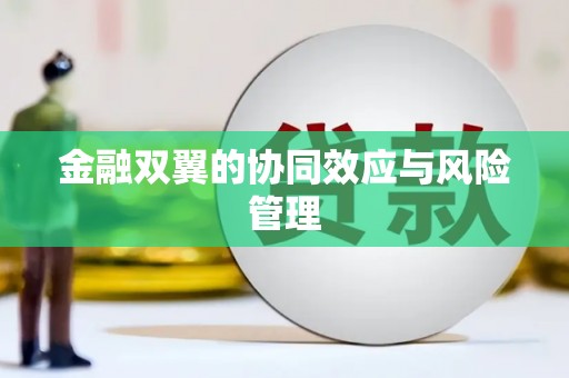 剑阁金融双翼的协同效应与风险管理