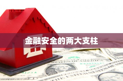 剑阁金融安全的两大支柱