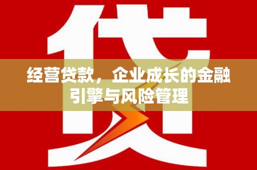 剑阁经营贷款，企业成长的金融引擎与风险管理