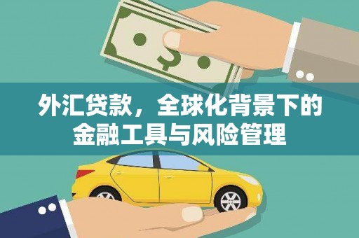 剑阁外汇贷款，全球化背景下的金融工具与风险管理