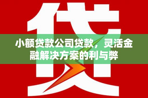 剑阁小额贷款公司贷款，灵活金融解决方案的利与弊