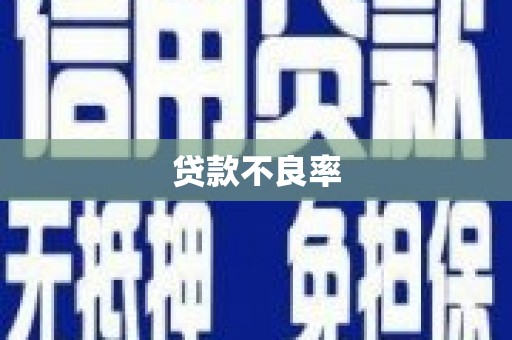 剑阁贷款不良率
