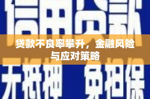 剑阁贷款不良率攀升，金融风险与应对策略