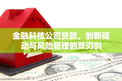 剑阁金融科技公司贷款，创新驱动与风险管理的双刃剑