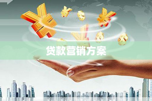 剑阁贷款营销方案